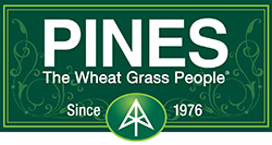 Pines-Logo