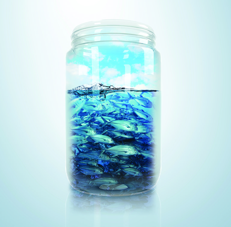From Sea To Shelf