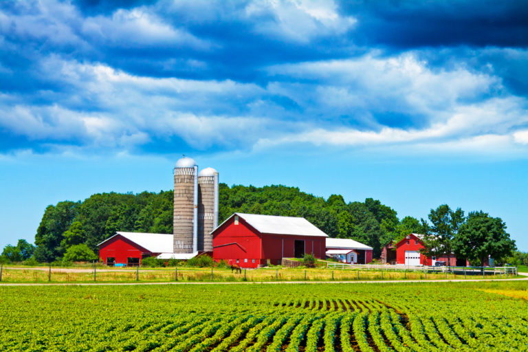 Farm Bill Funding Available to Organic Producers and Handlers