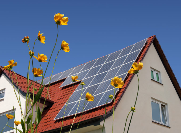 Solar Powered Bakery Celebrates 35 Years of Business