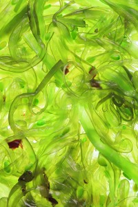 Nordic Naturals to Debut Algae Omega at CHFA Expo East