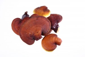 Mushroom Ingredient Sales Show Significant Growth According to GlobalData Reports