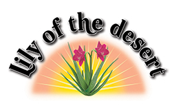 Lily of the Desert