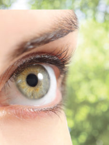 Vision Health and Computer Viewing