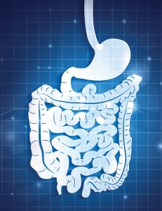 The Importance of Enzymes in Digestive Products