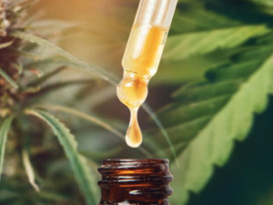 New Hampshire Joins List of States to Propose CBD Regs