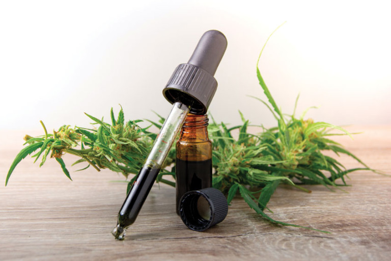 Endocannabinoid System & Phytocannabinoids