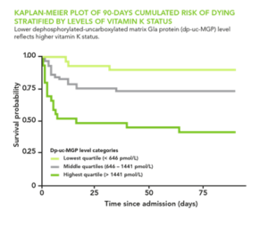 Study Confirms Correlation Between Low Vitamin K and Severe COVID-19