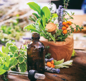 Administration Provides Tariff Relief for Certain Botanical Ingredients