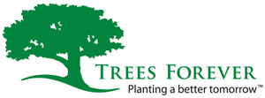 Eco Lips Donations Will Help Plant Trees