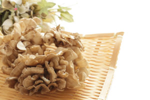 Enhancing Immune Function With Maitake Fruiting Body Extract