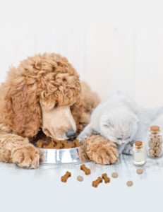 No Bones About it: Natural Pet Products Are On An Upward Trajectory