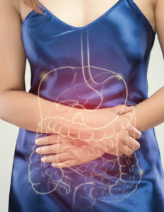 The Importance of Digestive Health Products in Today’s Marketplace