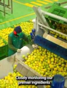 [Sponsored Video] Bergamonte®: Italian SuperCitrus. Cardioprotective Science, History, Sustainability. From HP Ingredients.
