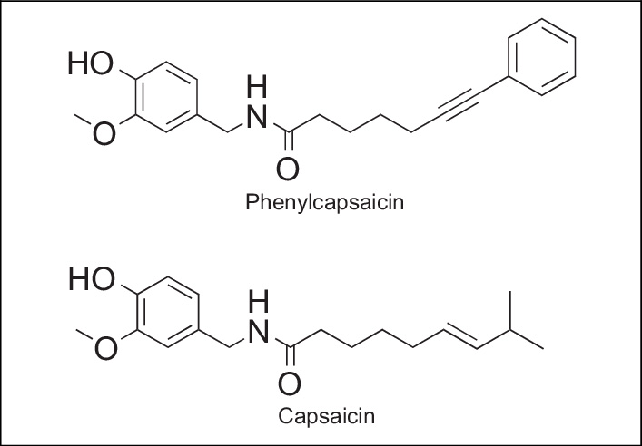 Phenylcapsaicin and Capsaicin