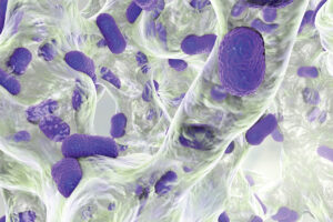 Probiotics May Boost Immunotherapy Response