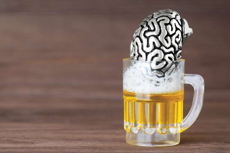Alcohol Impacts Brain