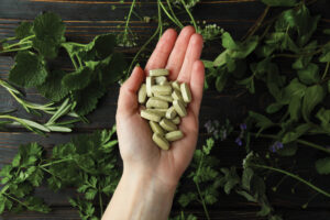 Herbs for the Stages of Immune Support