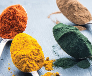 SNEDS: The Ultimate Delivery System for Nutraceuticals