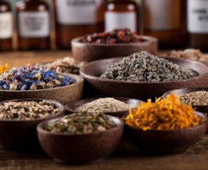 Herbal & Botanical Finished Products: The State of the Market in 2024