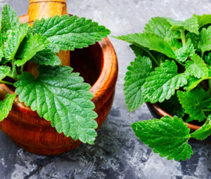 Herbs For Mood Support