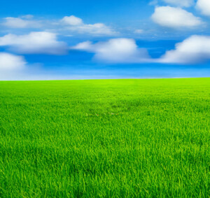 Going Green: Innovations in Climate-friendly Messaging and Sustainable Packaging