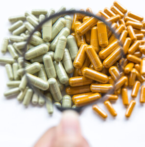 Herbal Allies for Gut Health