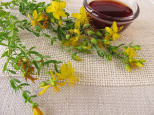 NOW Testing of St. John’s Wort Reveals Widespread Failure