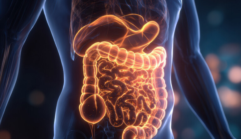 Indigestion & Stomach Upset