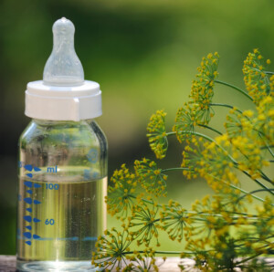 Herbal Help For Breast Feeding