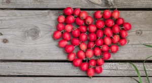 Hawthorn for Your Heart